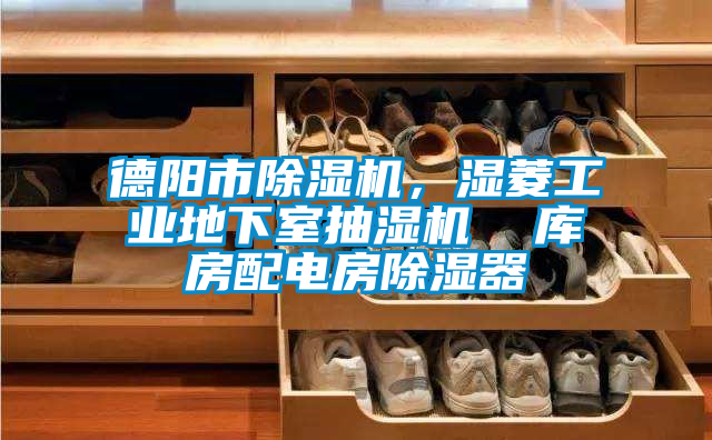 德陽市除濕機，濕菱工業地下室抽濕機  庫房配電房除濕器