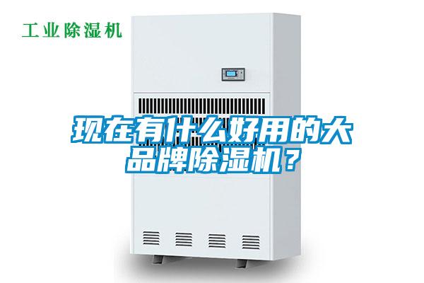 現在有什么好用的大品牌除濕機？
