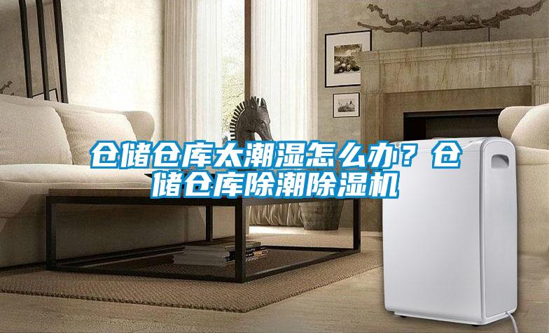 倉儲倉庫太潮濕怎么辦？倉儲倉庫除潮除濕機