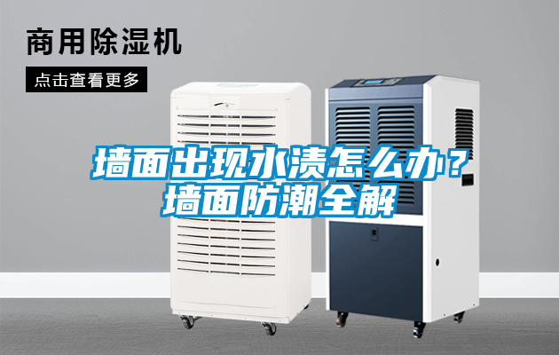 墻面出現水漬怎么辦？墻面防潮全解