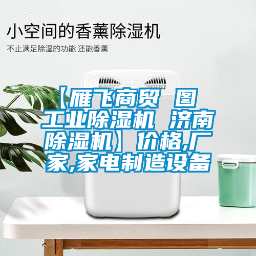 【雁飛商貿(mào) 圖  工業(yè)除濕機 濟(jì)南除濕機】價格,廠家,家電制造設(shè)備