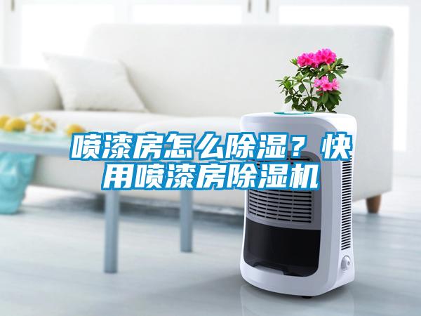 噴漆房怎么除濕？快用噴漆房除濕機