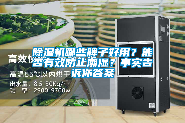 除濕機哪些牌子好用？能否有效防止潮濕？事實告訴你答案