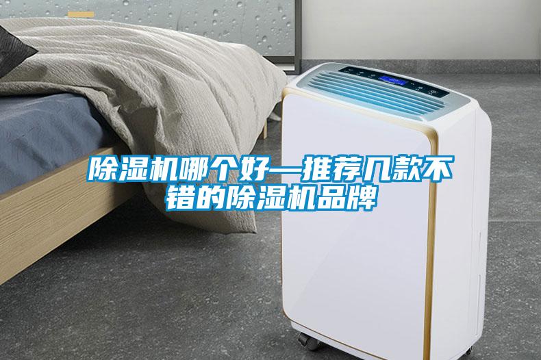 除濕機(jī)哪個好—推薦幾款不錯的除濕機(jī)品牌