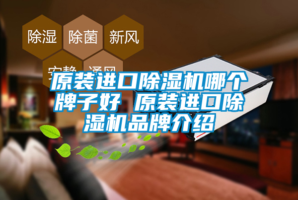 原裝進(jìn)口除濕機哪個牌子好 原裝進(jìn)口除濕機品牌介紹