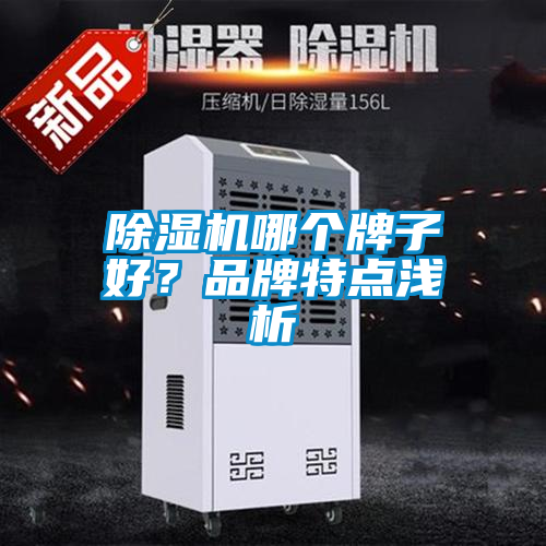 除濕機(jī)哪個牌子好？品牌特點淺析