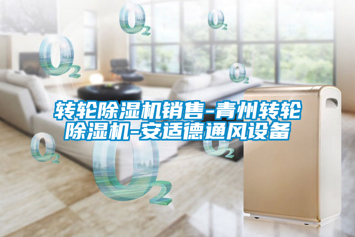 轉(zhuǎn)輪除濕機銷售-青州轉(zhuǎn)輪除濕機-安適德通風設備