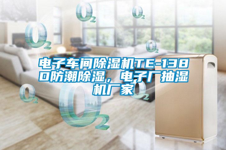 電子車間除濕機TE-138D防潮除濕，電子廠抽濕機廠家