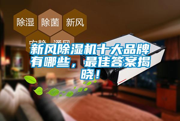 新風除濕機十大品牌有哪些，最佳答案揭曉！