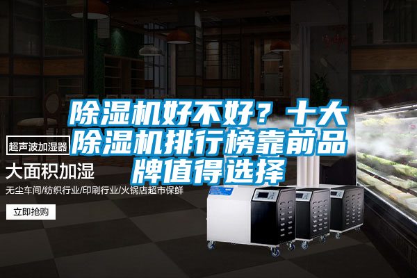 除濕機好不好？十大除濕機排行榜靠前品牌值得選擇