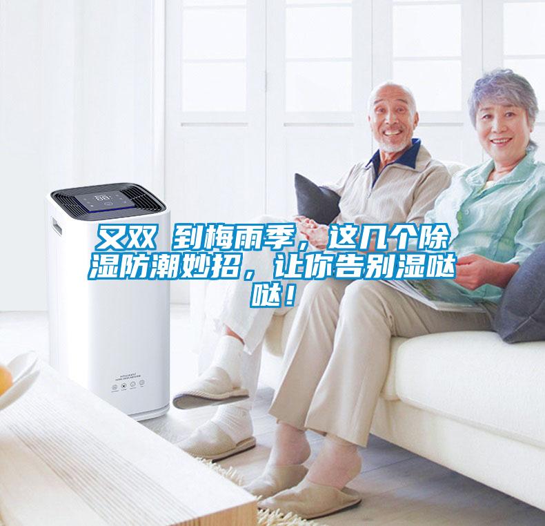 又雙叒到梅雨季，這幾個(gè)除濕防潮妙招，讓你告別濕噠噠！