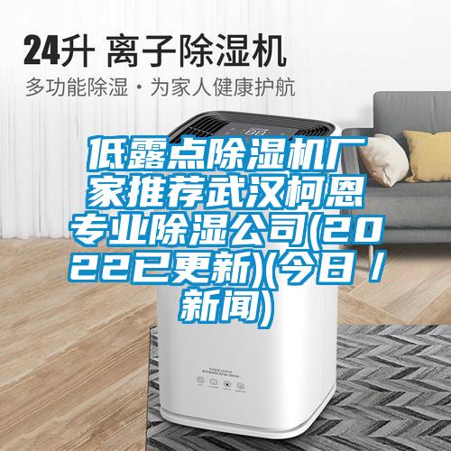 低露點除濕機(jī)廠家推薦武漢柯恩專業(yè)除濕公司(2022已更新)(今日／新聞)