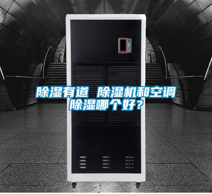 除濕有道 除濕機和空調除濕哪個好？