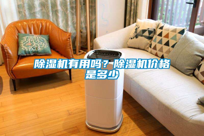 除濕機有用嗎？除濕機價格是多少