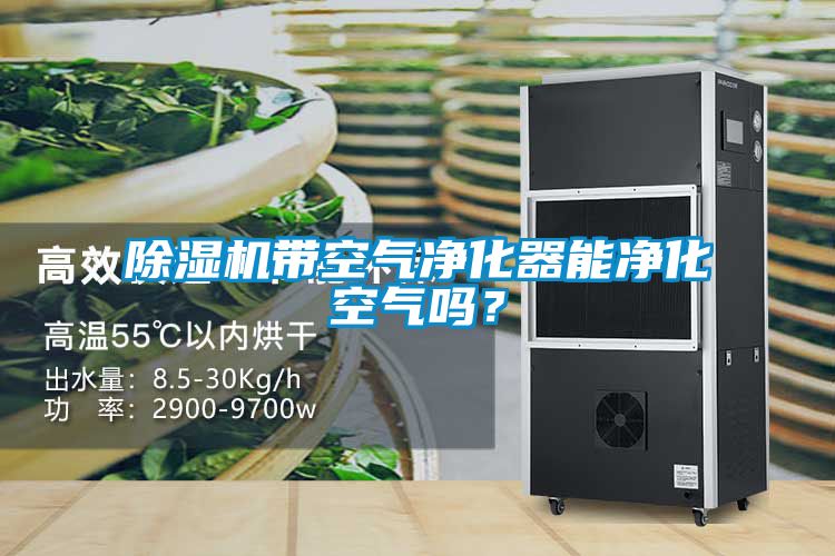 除濕機帶空氣凈化器能凈化空氣嗎？
