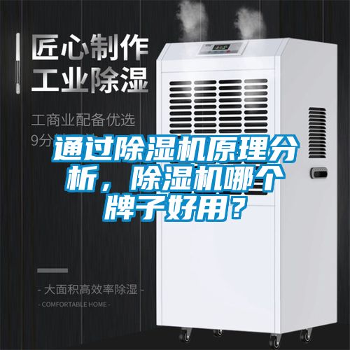 通過除濕機原理分析，除濕機哪個牌子好用？