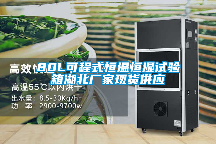 80L可程式恒溫恒濕試驗(yàn)箱湖北廠(chǎng)家現(xiàn)貨供應(yīng)