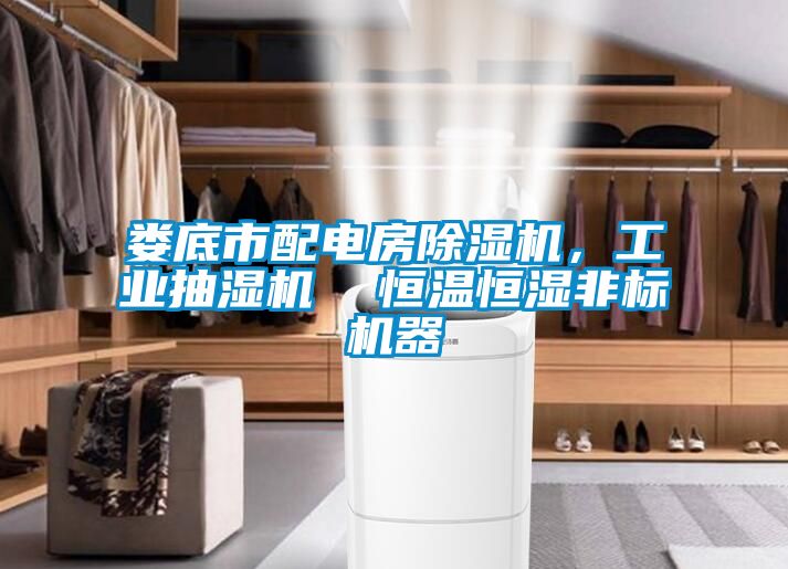 婁底市配電房除濕機，工業(yè)抽濕機  恒溫恒濕非標機器