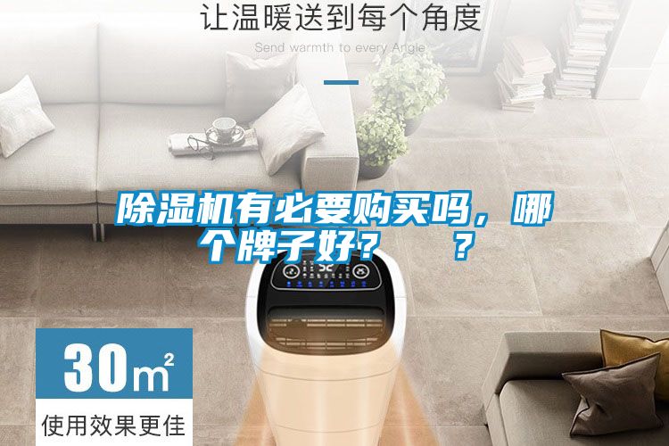 除濕機有必要購買嗎，哪個牌子好？  ？
