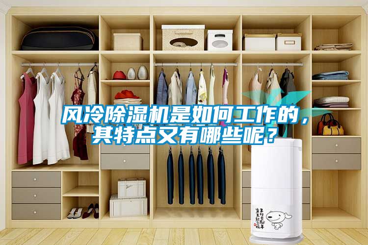 風(fēng)冷除濕機(jī)是如何工作的，其特點(diǎn)又有哪些呢？