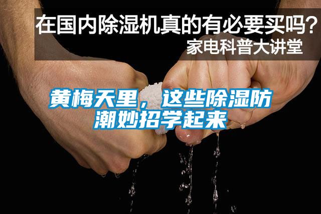 黃梅天里，這些除濕防潮妙招學起來