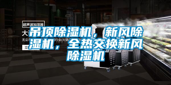 吊頂除濕機，新風(fēng)除濕機，全熱交換新風(fēng)除濕機