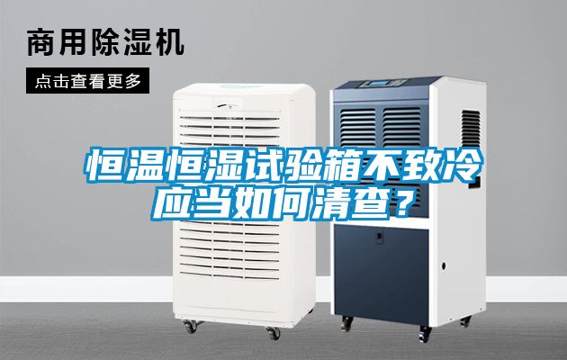 恒溫恒濕試驗箱不致冷應(yīng)當如何清查？