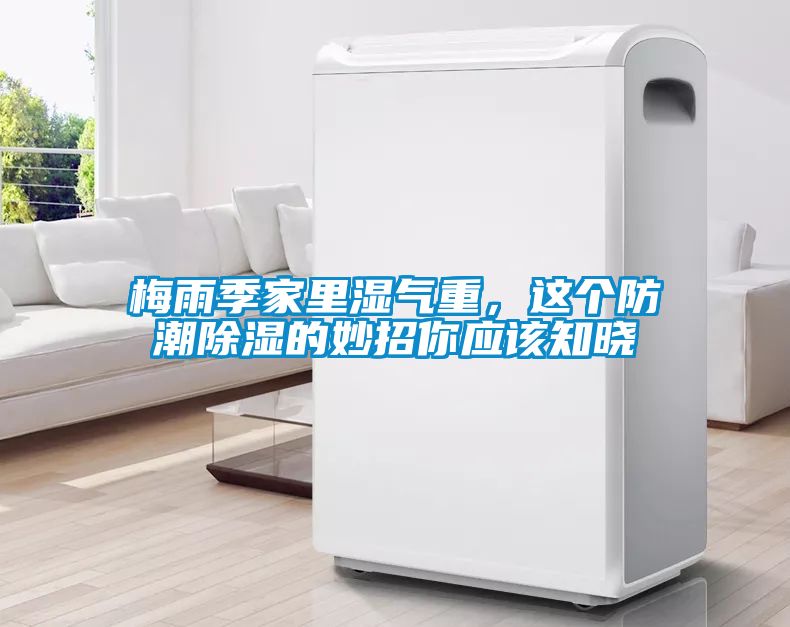 梅雨季家里濕氣重，這個(gè)防潮除濕的妙招你應(yīng)該知曉