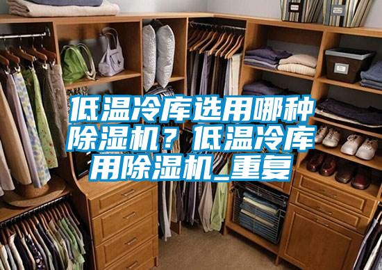 低溫冷庫選用哪種除濕機？低溫冷庫用除濕機_重復
