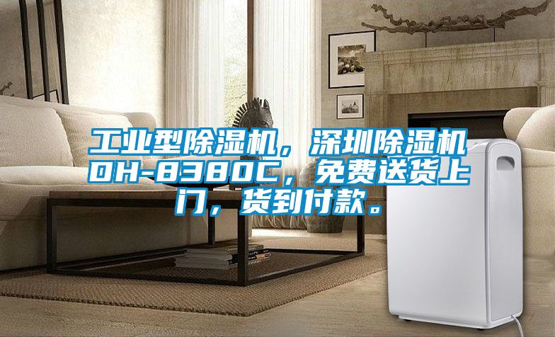 工業(yè)型除濕機(jī)，深圳除濕機(jī)DH-8380C，免費(fèi)送貨上門，貨到付款。