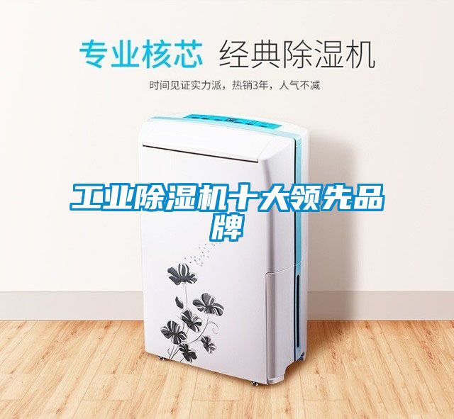 工業(yè)除濕機十大領先品牌