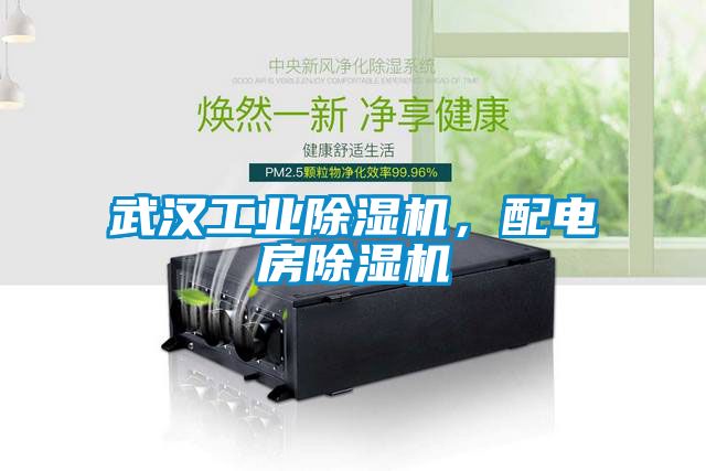 武漢工業(yè)除濕機，配電房除濕機