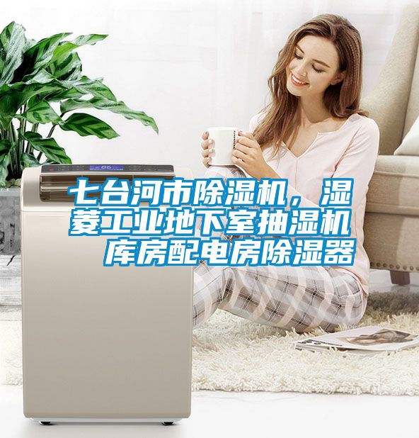 七臺河市除濕機，濕菱工業地下室抽濕機  庫房配電房除濕器