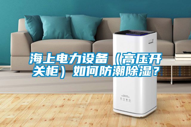 海上電力設(shè)備（高壓開關(guān)柜）如何防潮除濕？
