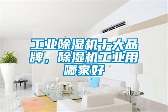 工業(yè)除濕機(jī)十大品牌，除濕機(jī)工業(yè)用哪家好