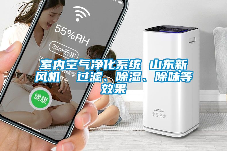 室內空氣凈化系統 山東新風機  過濾、除濕、除味等效果