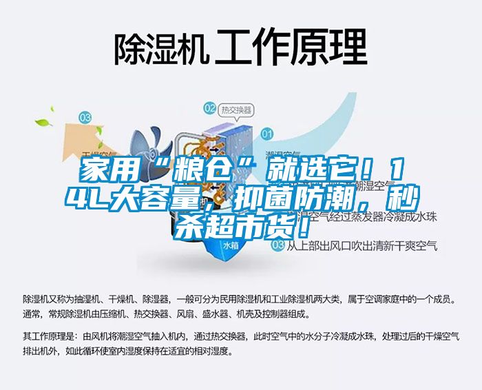 家用“糧倉”就選它！14L大容量，抑菌防潮，秒殺超市貨！