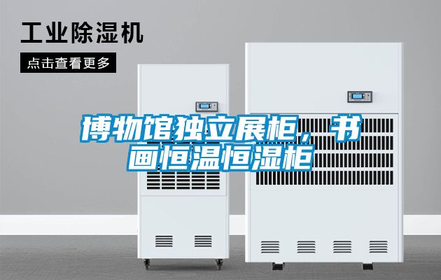 博物館獨立展柜，書畫恒溫恒濕柜