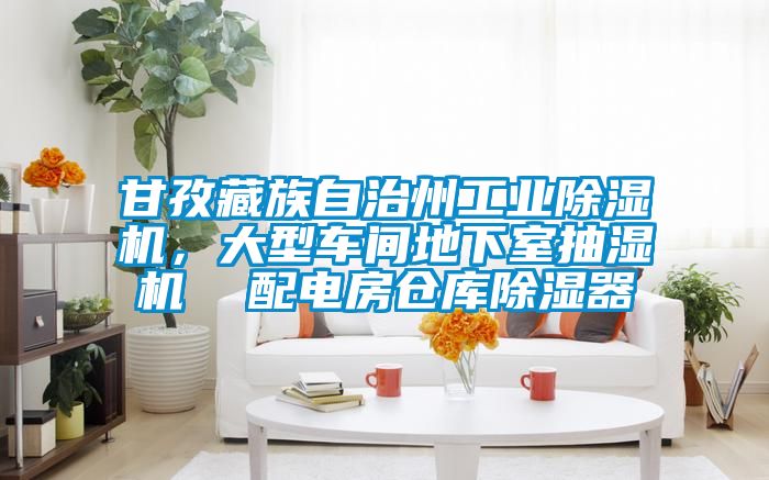 甘孜藏族自治州工業(yè)除濕機(jī)，大型車間地下室抽濕機(jī)  配電房倉(cāng)庫(kù)除濕器
